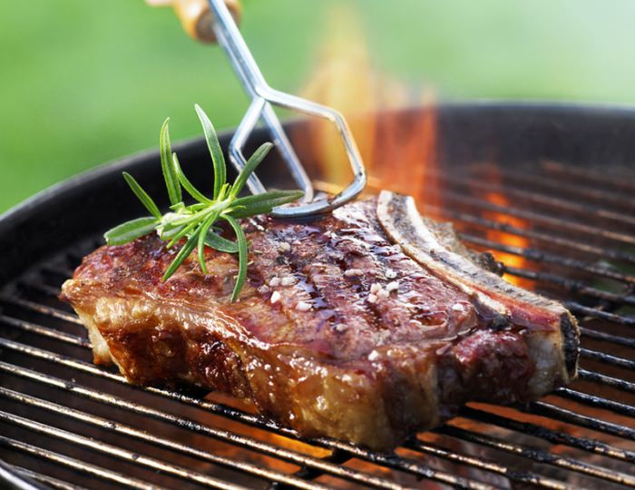 Барбекю - Отель «Orchestra Ока Спа Резорт»