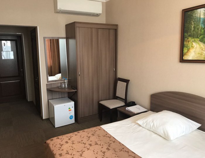 Двухместный малый - Отель «Orchestra Ока Спа Резорт»