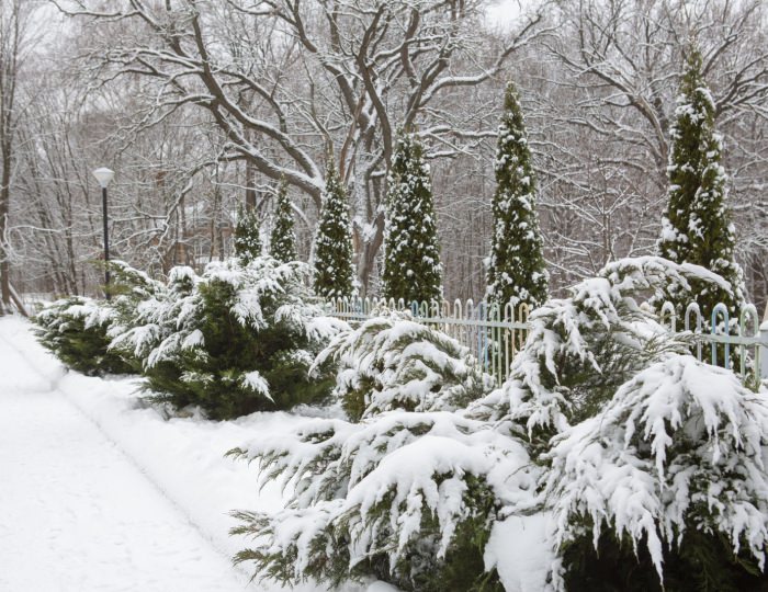 Внешний вид и территория - Отель «Orchestra Ока Спа Резорт»