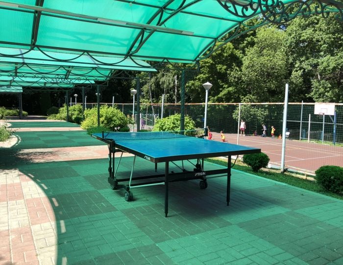 Настольный теннис - Отель «Orchestra Ока Спа Резорт»